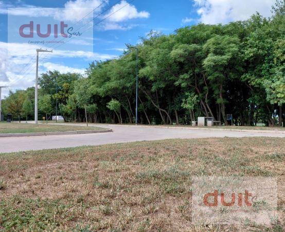 Terreno · 365m²