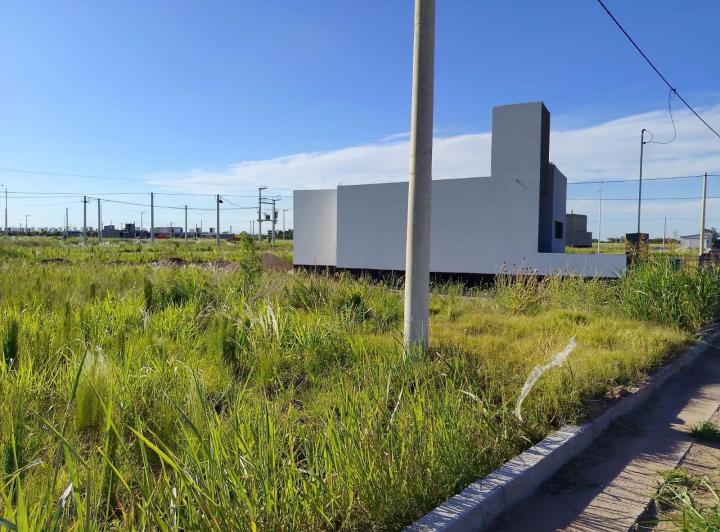 Terreno · 320m²