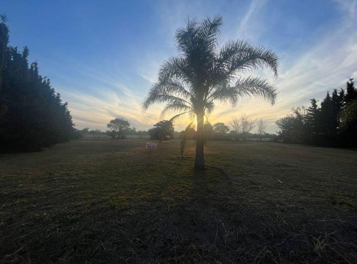 Terreno · 2262m²