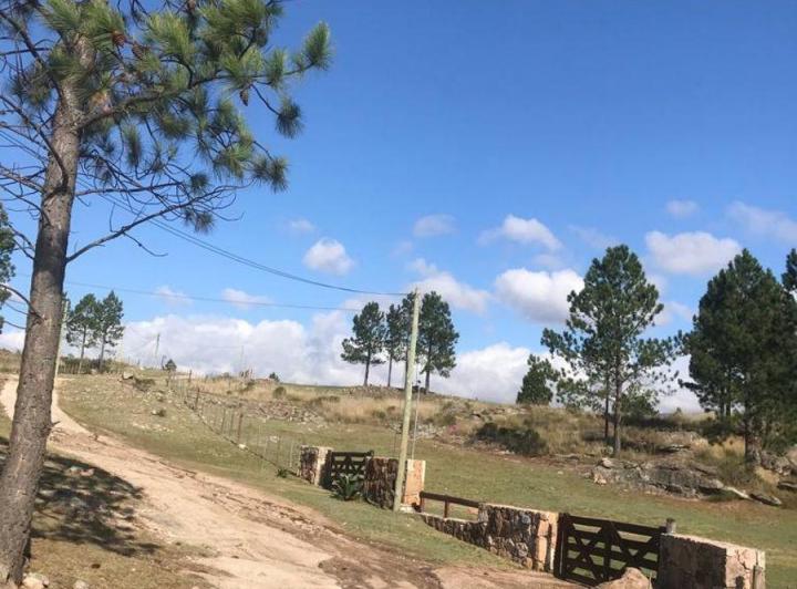 Terreno · 12000m²