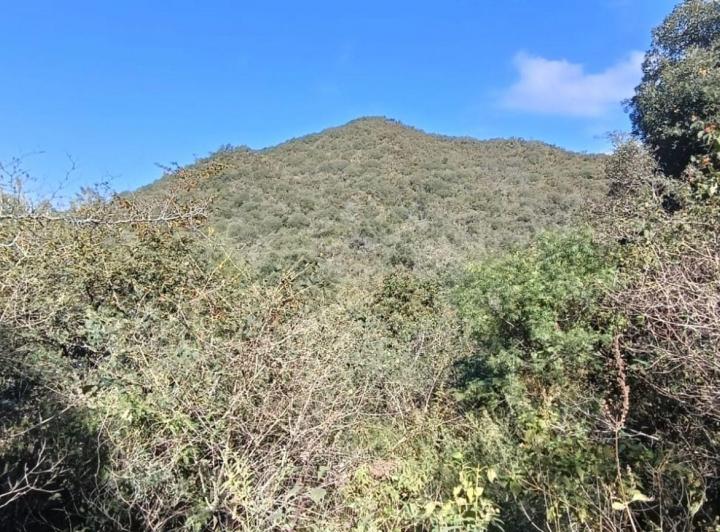 Terreno · 8552m²