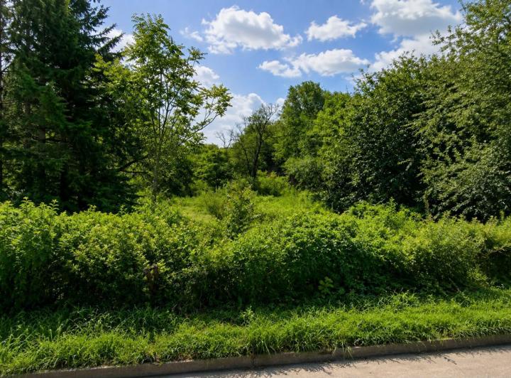 Terreno · 5003m²