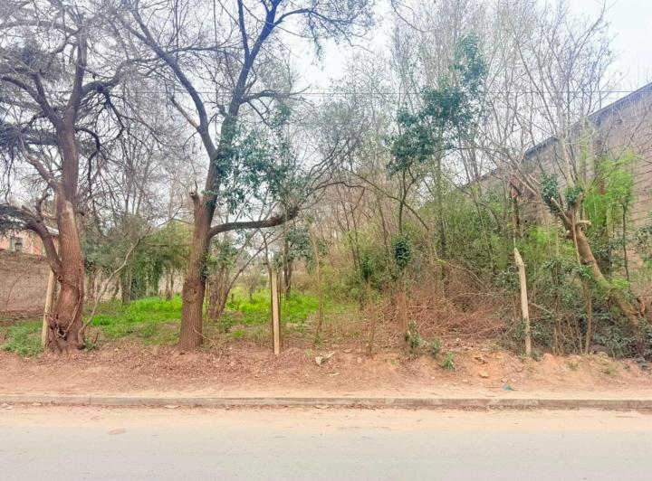 Terreno · 1528m²