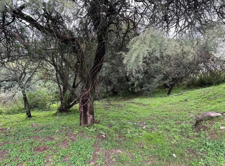 Terreno · 2000m²