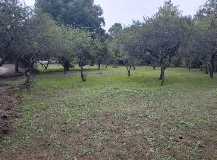 Terreno · 3900m²