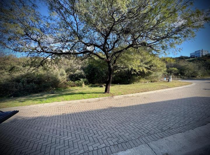 Terreno · 980m²