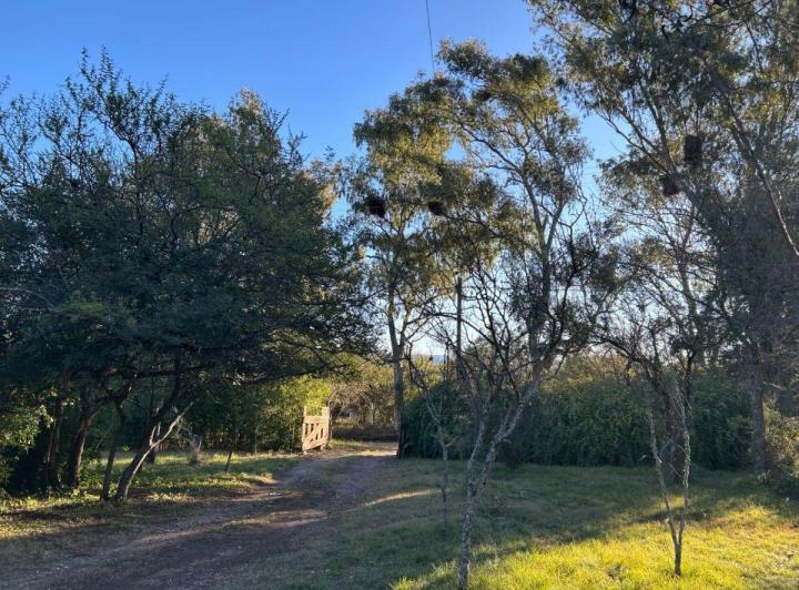 Terreno · 96m²