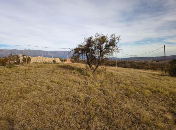 Terreno · 1000m²