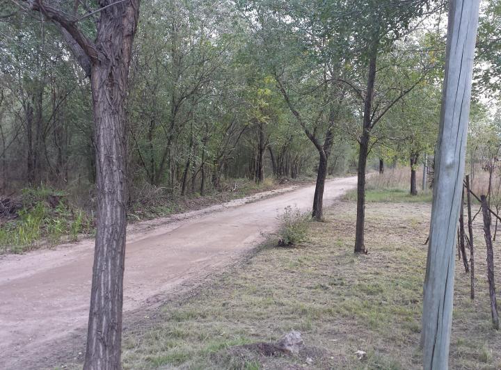 Terreno · 1000m²