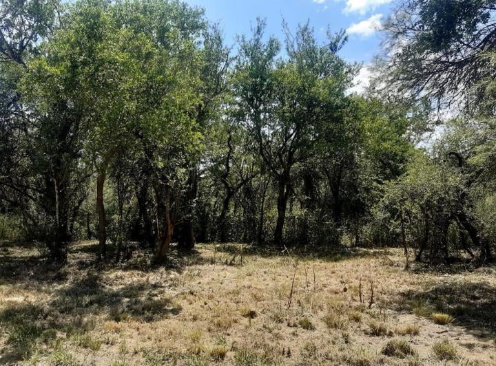 Terreno · 4000m²