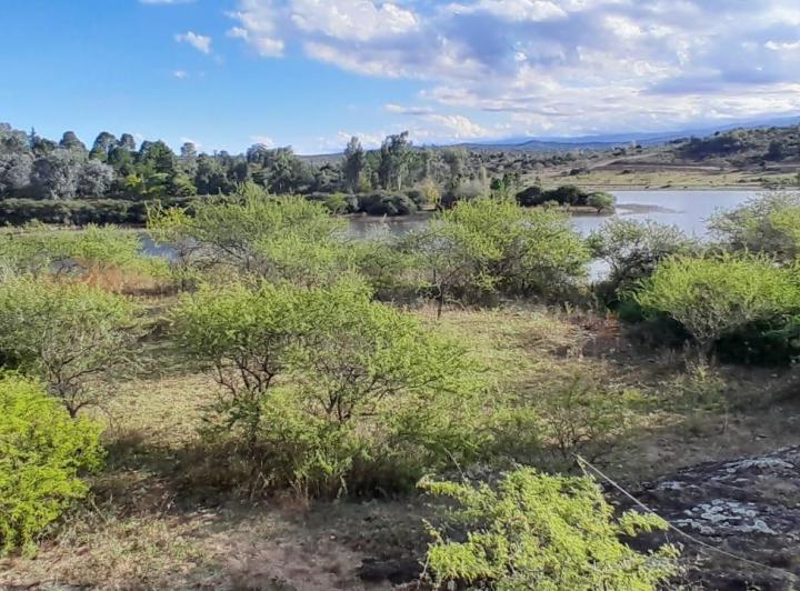Terreno · 2571m²