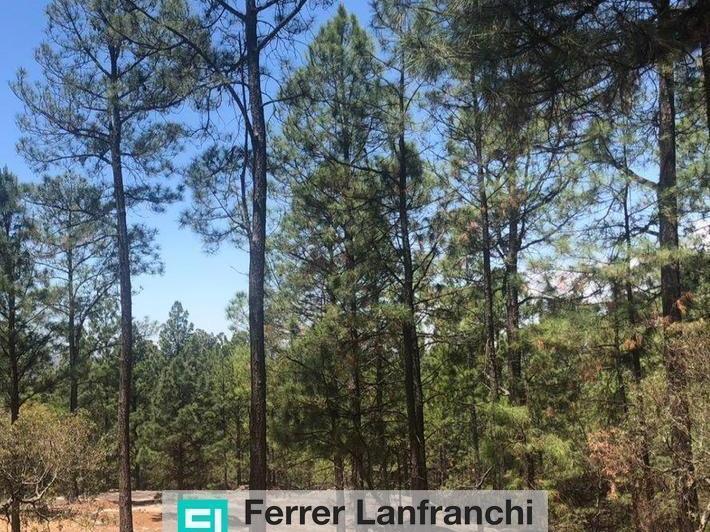 Terreno · 11100m²