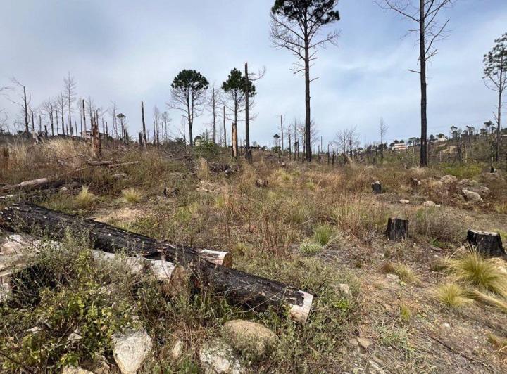 Terreno · 3000m²