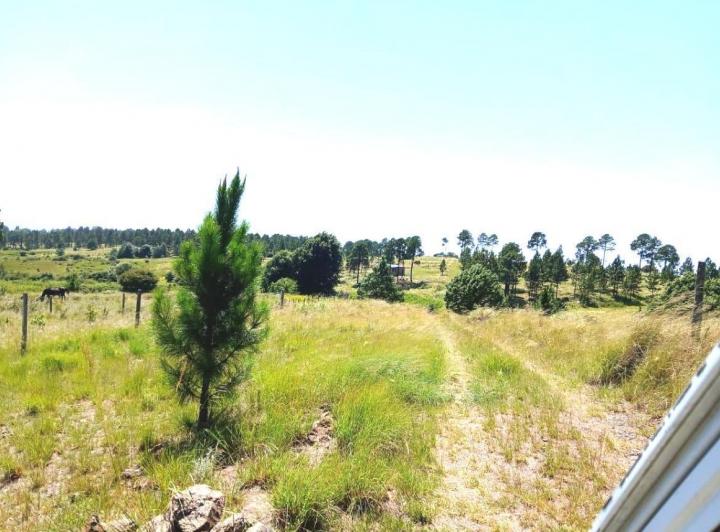 Terreno · 9999m²