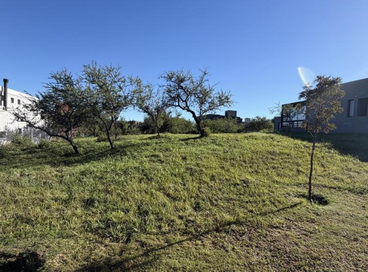 Terreno · 1045m²