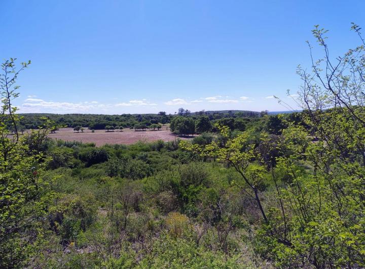 Terreno · 16602m²
