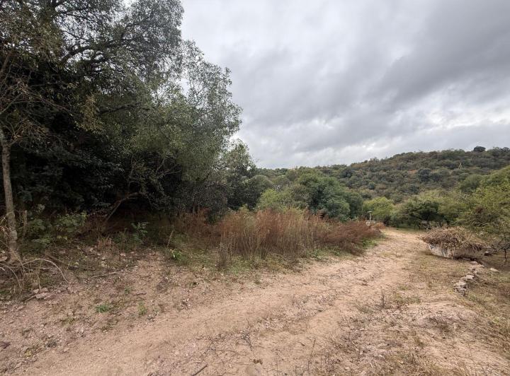 Terreno · 345m²