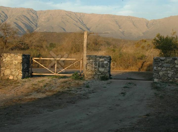 Terreno · 10000m²