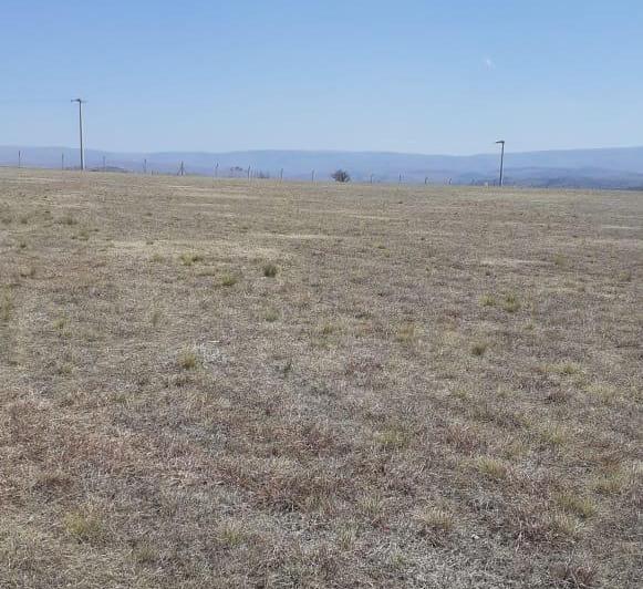 Terreno · 1034m²