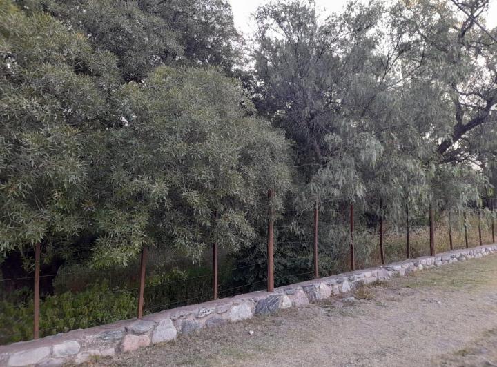 Terreno · 1000m²