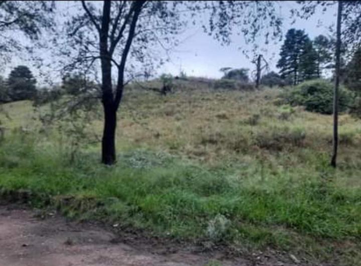 Terreno · 3900m²