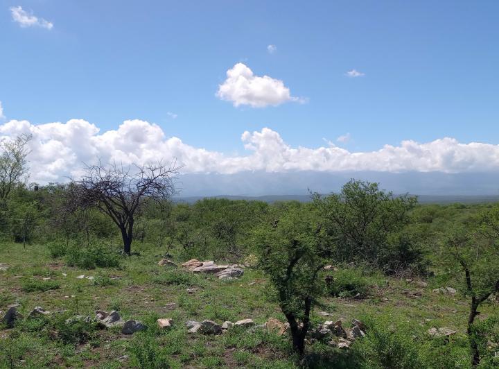 Terreno · 1006m²