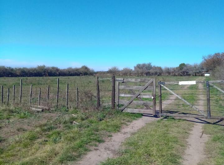 Terreno · 50m²