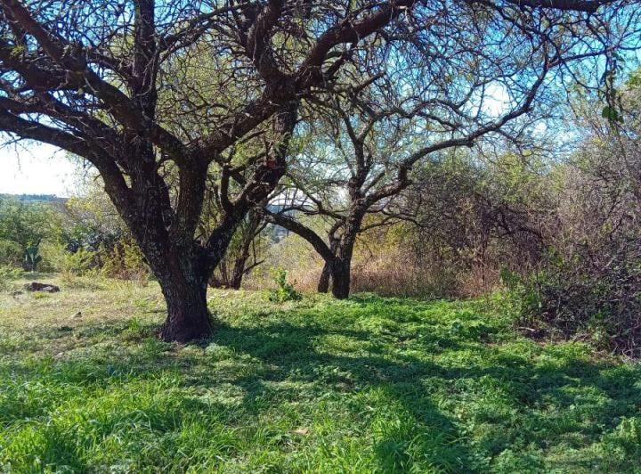 Terreno · 3900m²
