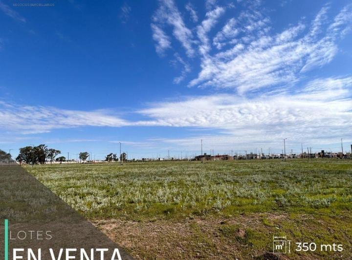 Terreno · 350m²