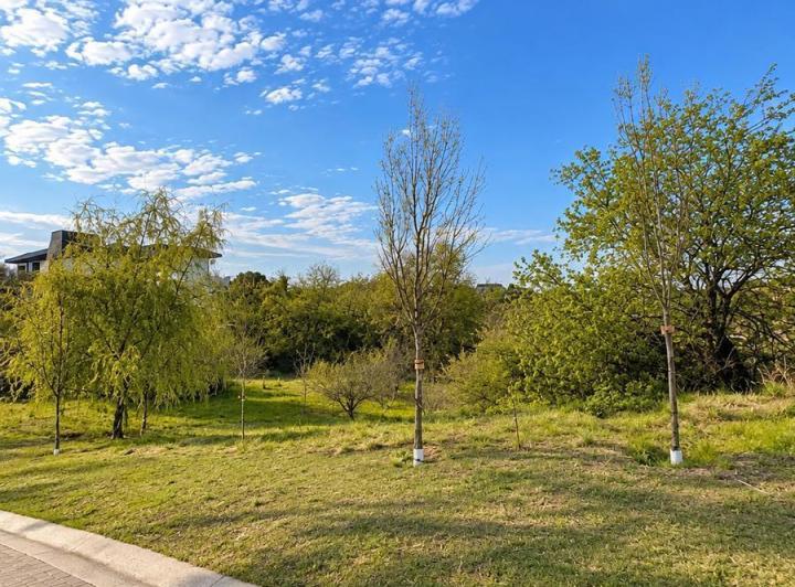 Terreno · 1325m²