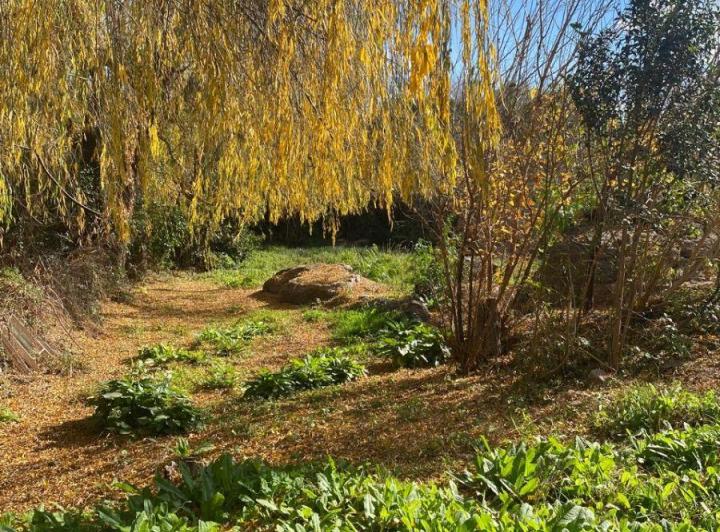 Terreno · 771m²