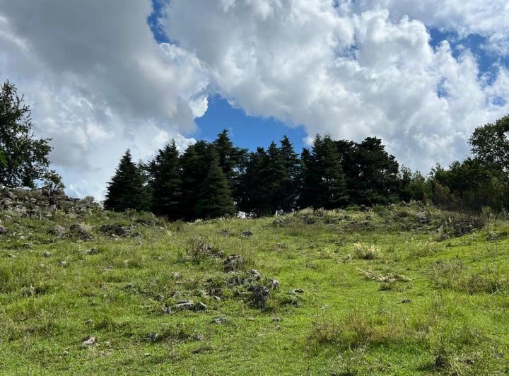 Terreno · 1m²