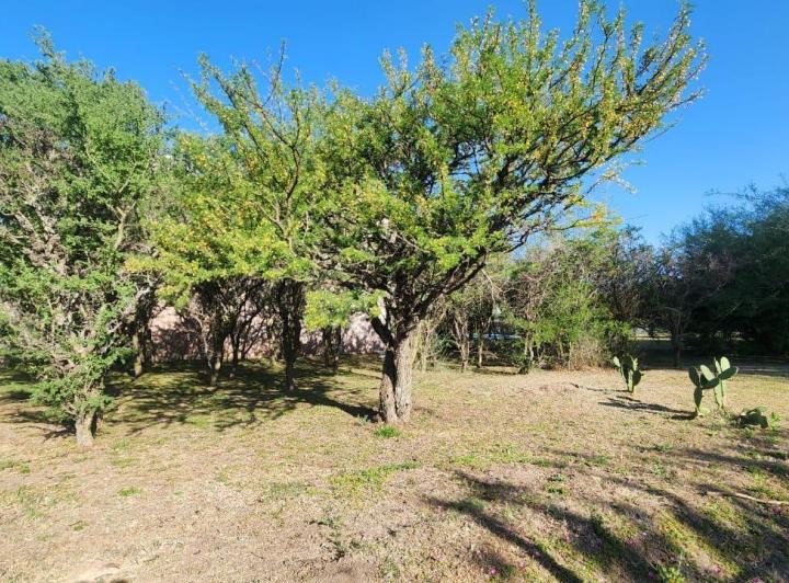 Terreno · 560m²