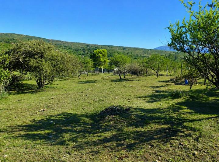 Terreno · 1648m²