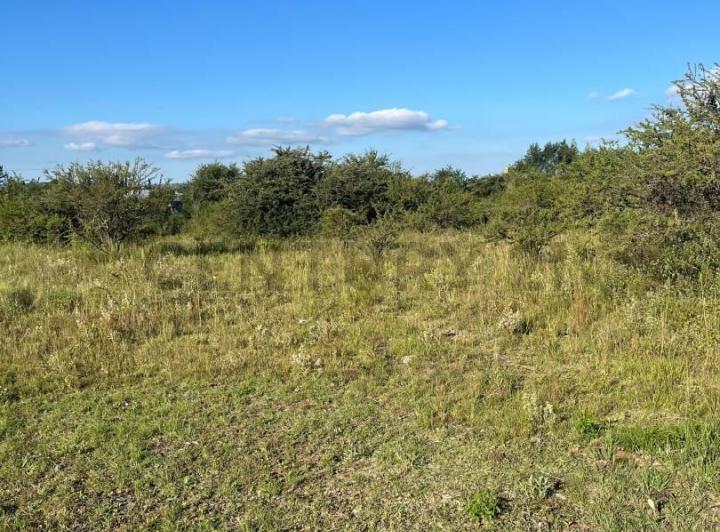 Terreno · 1053m²