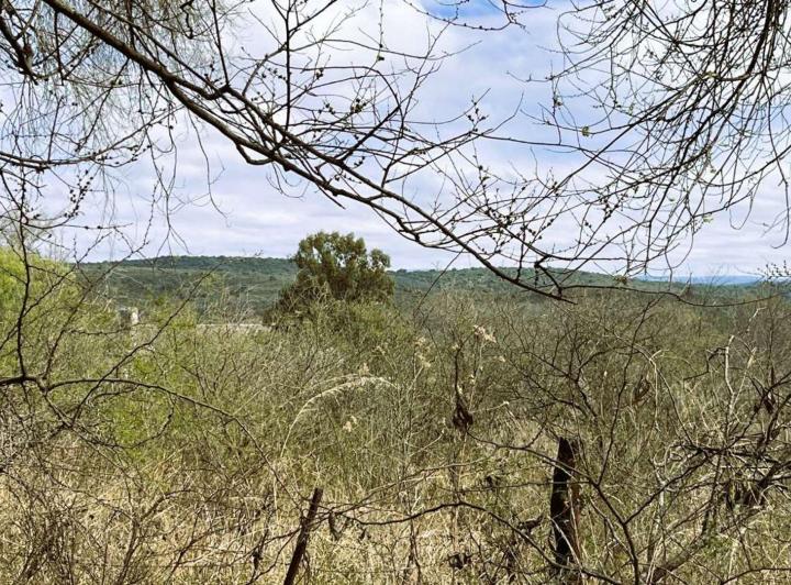 Terreno · 1450m²