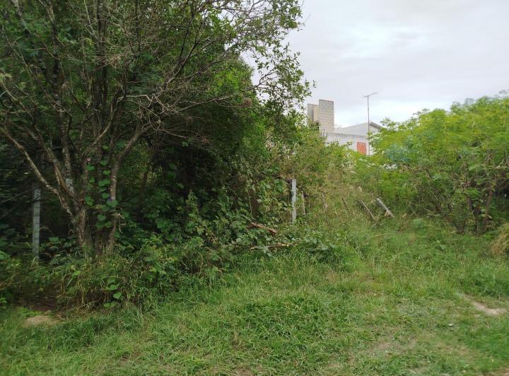 Terreno · 547m²