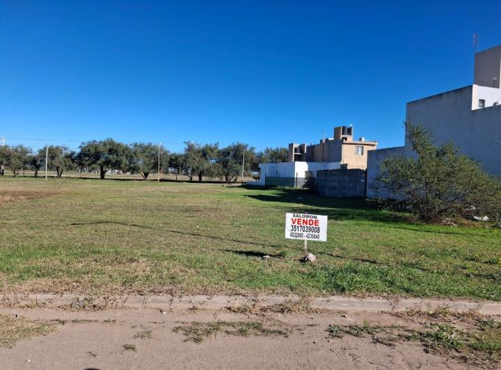 Terreno · 300m²