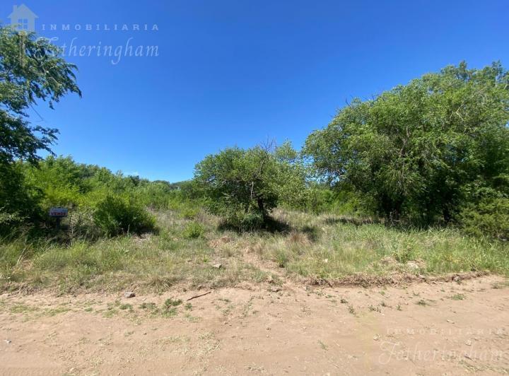 Terreno · 3711m²