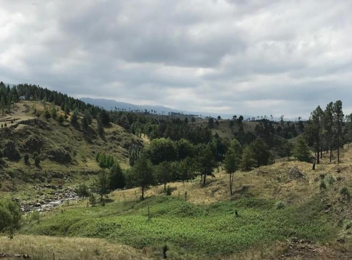 Terreno · 100000m²