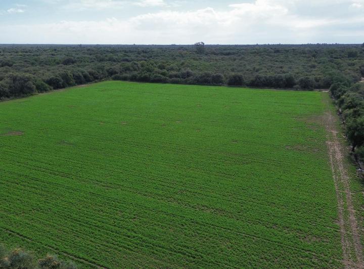 Terreno · 192ha