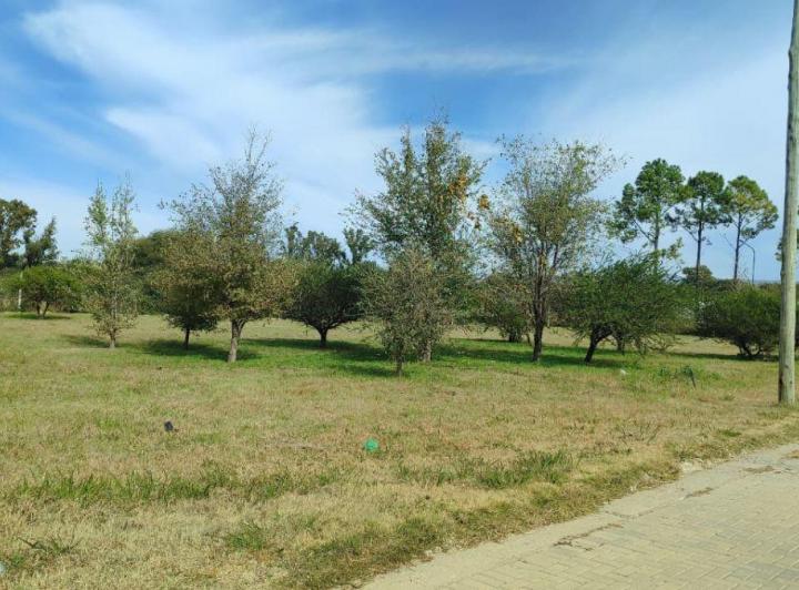 Terreno · 500m²