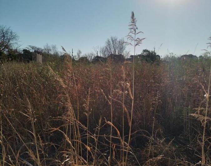 Terreno · 16000m²