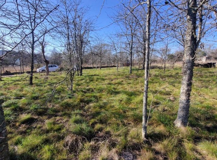Terreno · 455m²