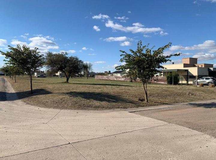 Terreno · 1000m²