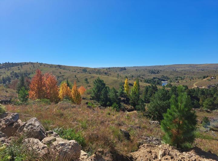 Terreno · 5098m²
