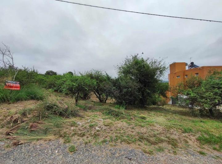 Terreno · 1286m²