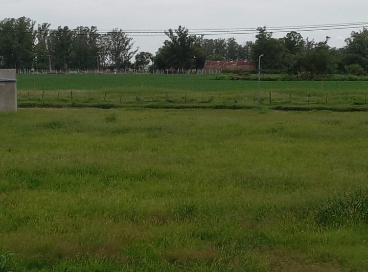 Terreno · 260m²