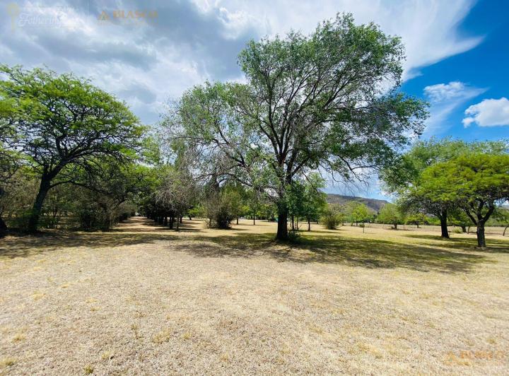 Terreno · 11700m²