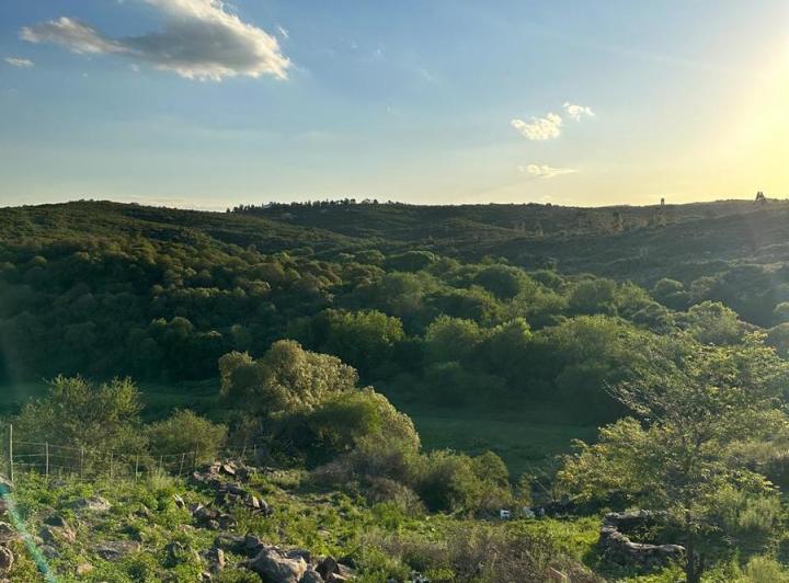 Terreno · 381m²